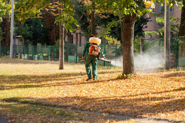 Best Cockroach Control Services  in Meadowood, PA